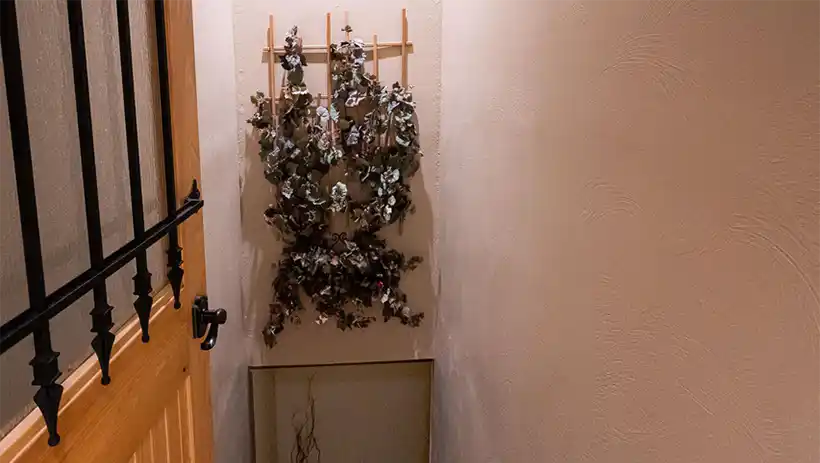 staircase to wine cellar