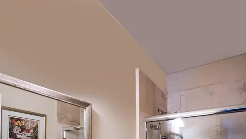 downstairs guest bath