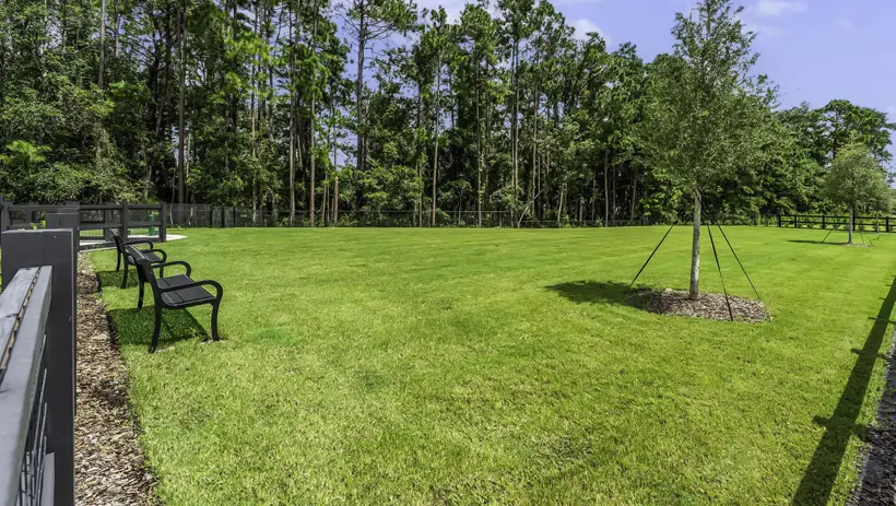 Saddle Oaks Amenities Dog Park