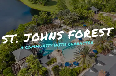 St. Johns Forest