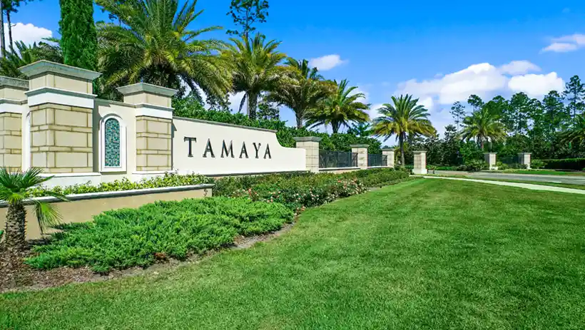 Tamaya Jacksonville Florida